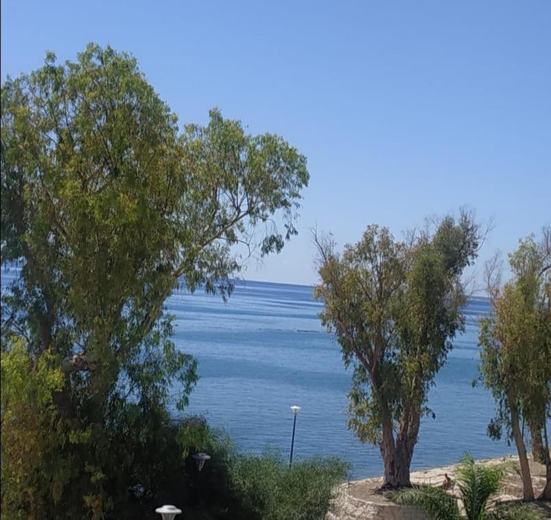 Apartamento Galatex Μaisonette Limassol Exterior foto